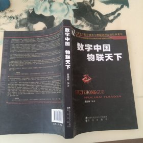 数字中国 物联天下