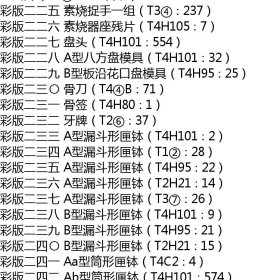 预售  汝州张公巷窑遗址