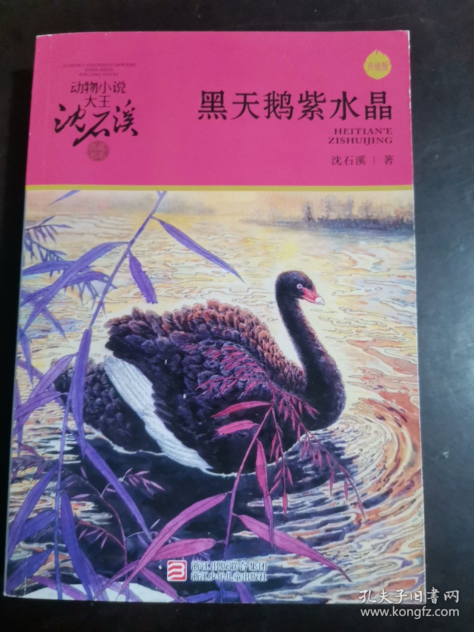 动物小说大王沈石溪·品藏书系：黑天鹅紫水晶