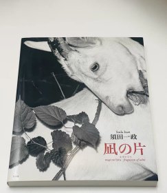 須田一政：凪の片 摄影集