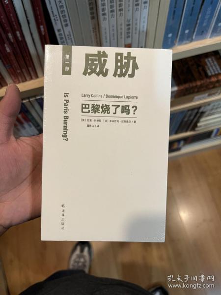 巴黎烧了吗？