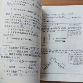 重点中学初中化学导读（修订本）