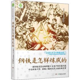 钢铁是怎样炼成的 儿童文学 (苏)尼·奥斯特洛夫斯基 新华正版