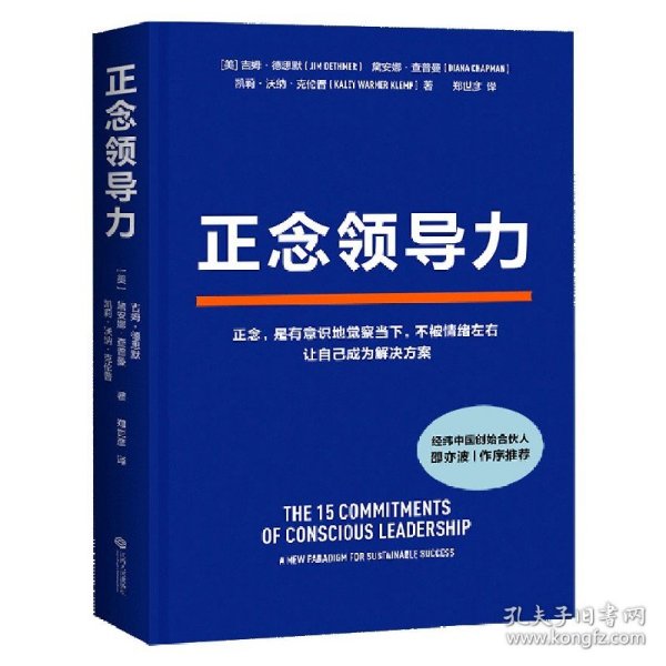 正念领导力（经纬中国创始合伙人邵亦波作序！一本从心出发的领导力之书！）