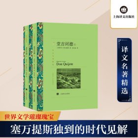 文学名著·译文名著精选：堂吉诃德（上、下）