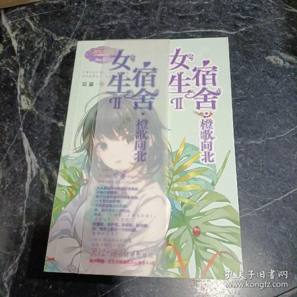 意林：小小姐日光倾城系列8--女生宿舍Ⅱ·橙歌向北（升级版）