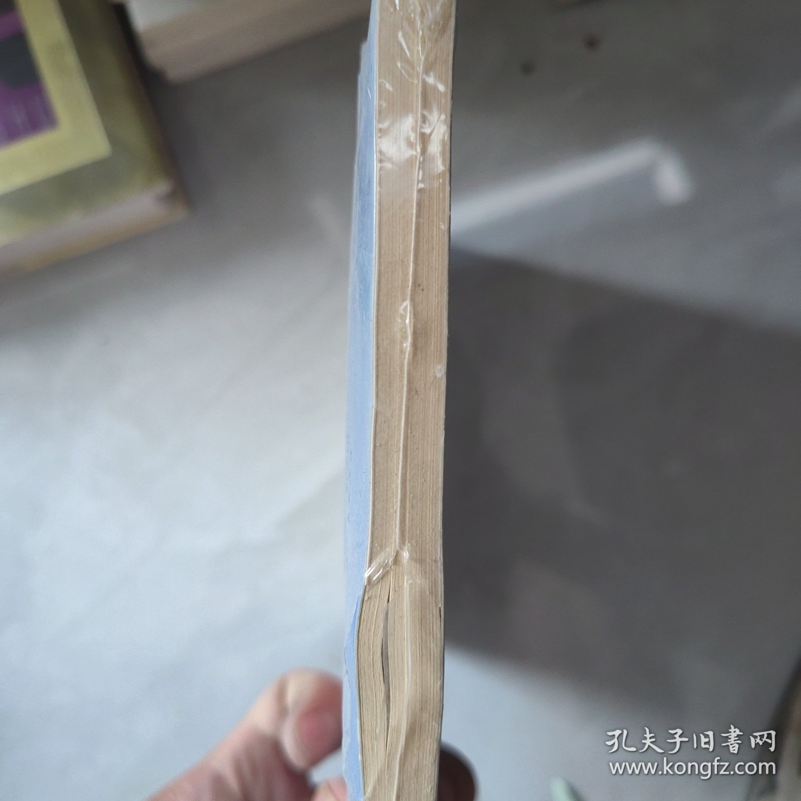 飞鸟集全译本 名家名译插图版 中英双语 部编初中语文教材推荐阅读 外国名著典藏