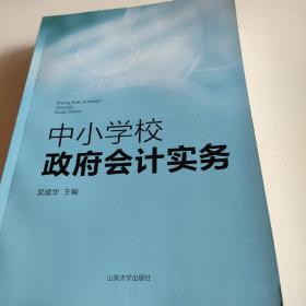 中小学校政府会计实务