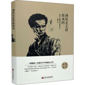 钢铁是怎样炼成的 精装版