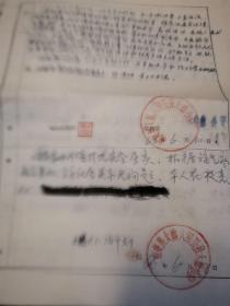 零陵教育文献     1966年零陵地区中等学校招生考生资料袋   罗某能