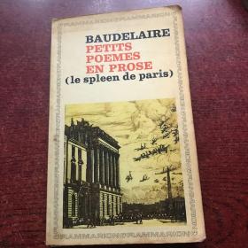 PETITS POEMES EN PROSE