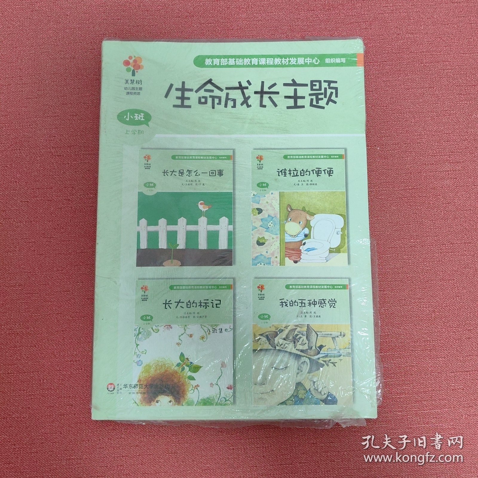 生命成长主题 小班上学期