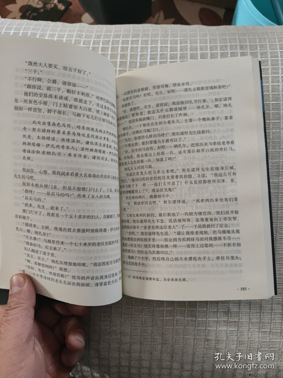 猎人笔记（海明威、托尔斯泰盛赞，俄国传世文学经典）