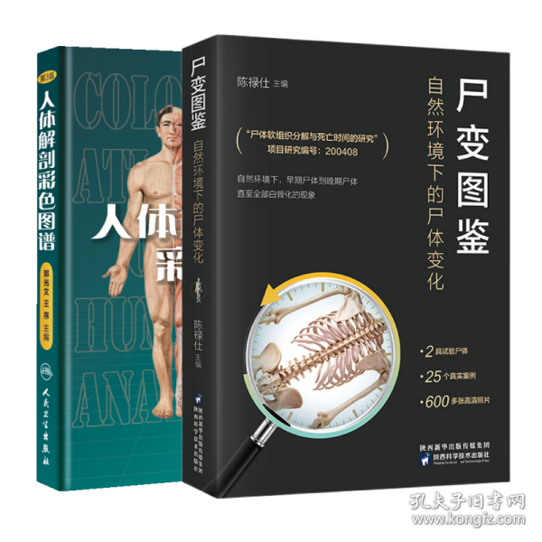 尸变图鉴：自然环境下的尸体变化