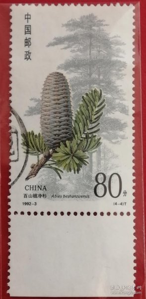 中国邮票 1992-3 杉树 4-4 信销