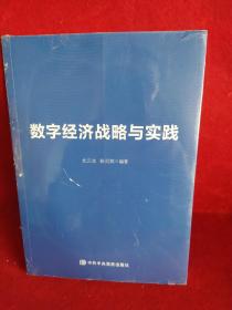 数字经济战略与实践