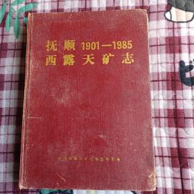 抚顺1901一1985西露天矿志