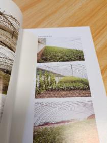 东北型日光棚室技术