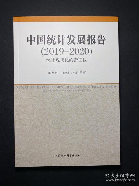 中国统计发展报告（2019-2020）——统计现代化的新征程