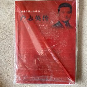 雨花台烈士传丛书：卢志英传