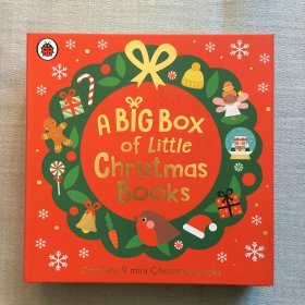 A BIG BOX OF LITTLE BOOKS    一盒9本迷你纸板书