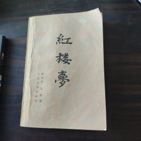 红楼梦 中