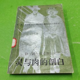 灵与肉的剖白