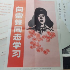 向雷锋同志学习，15张照片合售，品相如图