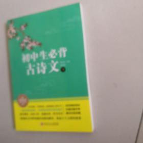 初中生必备古诗文132篇 详解版(全2册 )人教版部编语文教材文言文全解阅读训练老师推荐中学生必背古诗词全集:中学教辅七八九年级课外阅读书籍古诗文鉴赏析阅读