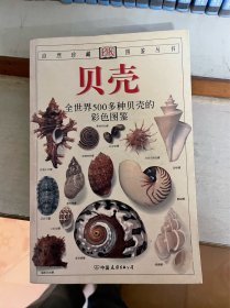 贝壳