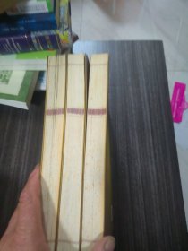 大成国学：地理人子须知（三册全）
