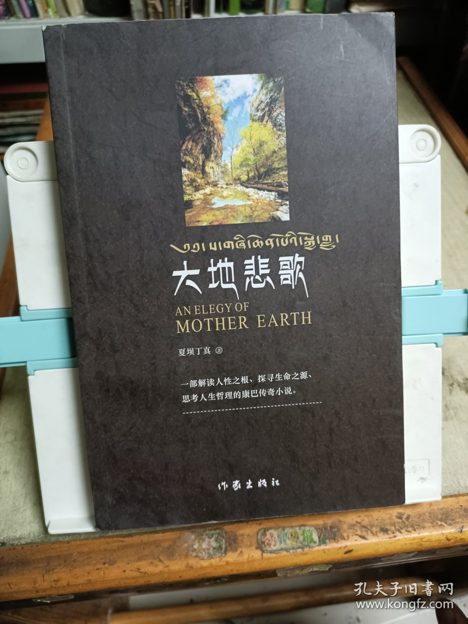 大地悲歌
