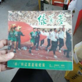 绿茵梦‘85/91’辽沈足坛纪实