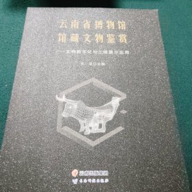 云南省博物馆馆藏文物鉴赏：文物数字化与三维展