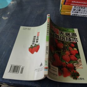 草莓无病毒栽培技术