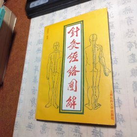 针灸经络图解