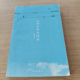 山中少年今何在
