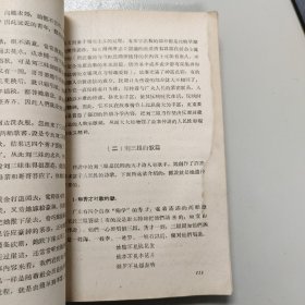 广西僮族文学