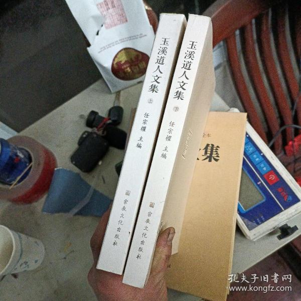 玉溪道人文集，上下兩冊出售品相佳