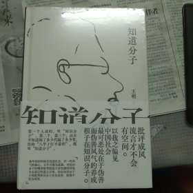 知道分子（王朔散文集全新再版。批评成风，流言才不会有空间。）