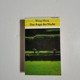 Wang Meng Das Auge der Nacht