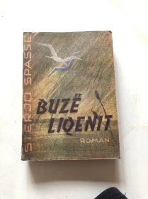 Buzë Liqenit（外文原版书）阿尔巴尼亚语原版书