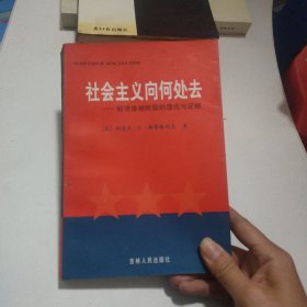 社会主义向何处去：经济体制转型的理论与证据