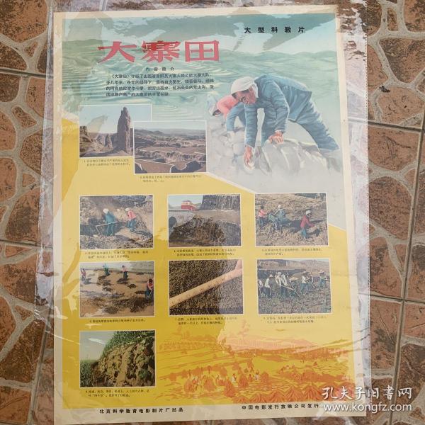 著名红色藏品：老电影海报一一大寨田(两开、品佳、保真保老)