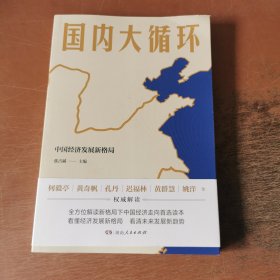 国内大循环(何毅亭、黄奇帆、孔丹、迟福林、姚洋、黄群慧等撰文)