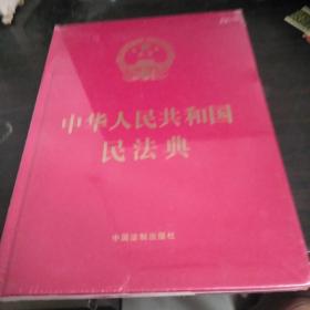 中华人民共和国民法典（16开精装大字本）2020年6月新版，