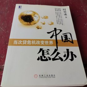 中国怎么办：当次货危机改变世界