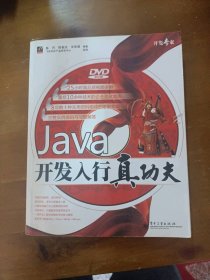 Java开发入行真功夫