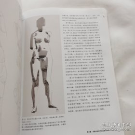 艺用解剖—人体解剖与绘画表现（精）戈特弗里德•巴梅斯绘画艺术译丛