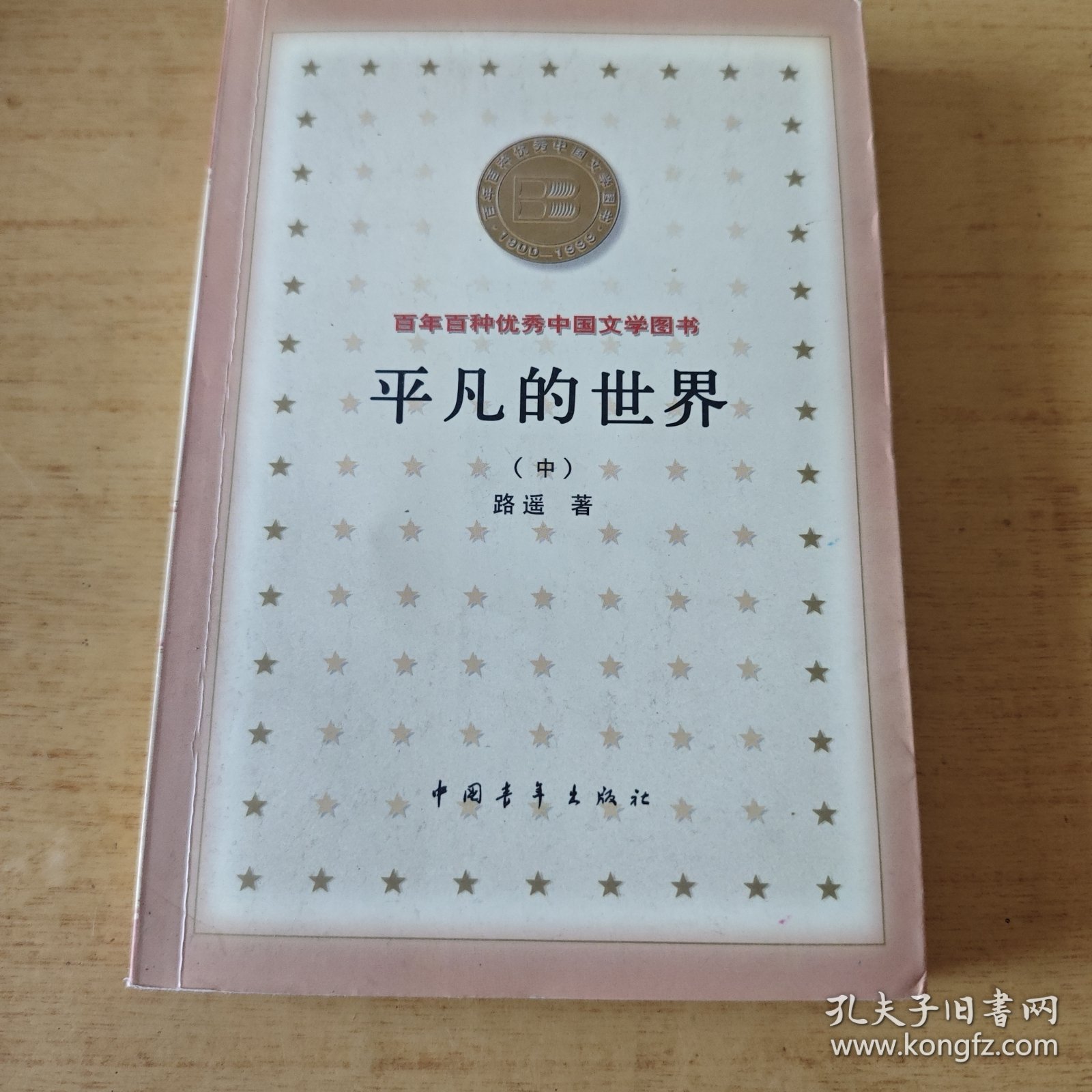 平凡的世界（中）